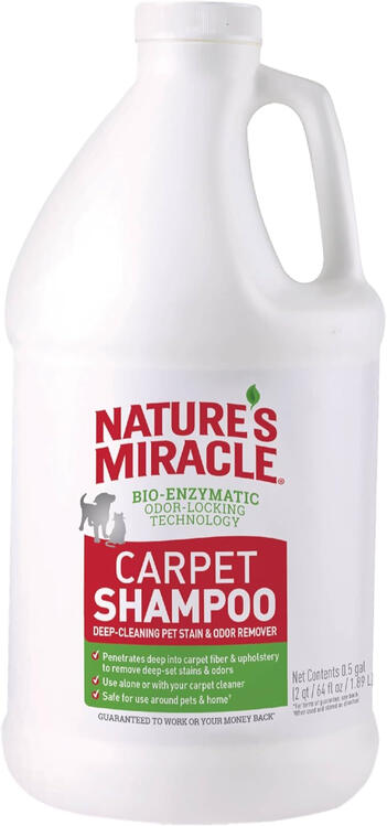 Enzyme carpet cleaner for pet stains and odor removal Enzyme carpet cleaner for pet stains and odor removal